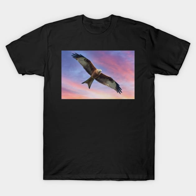 Soaring Red Kite Bird of Prey T-Shirt by MartynUK